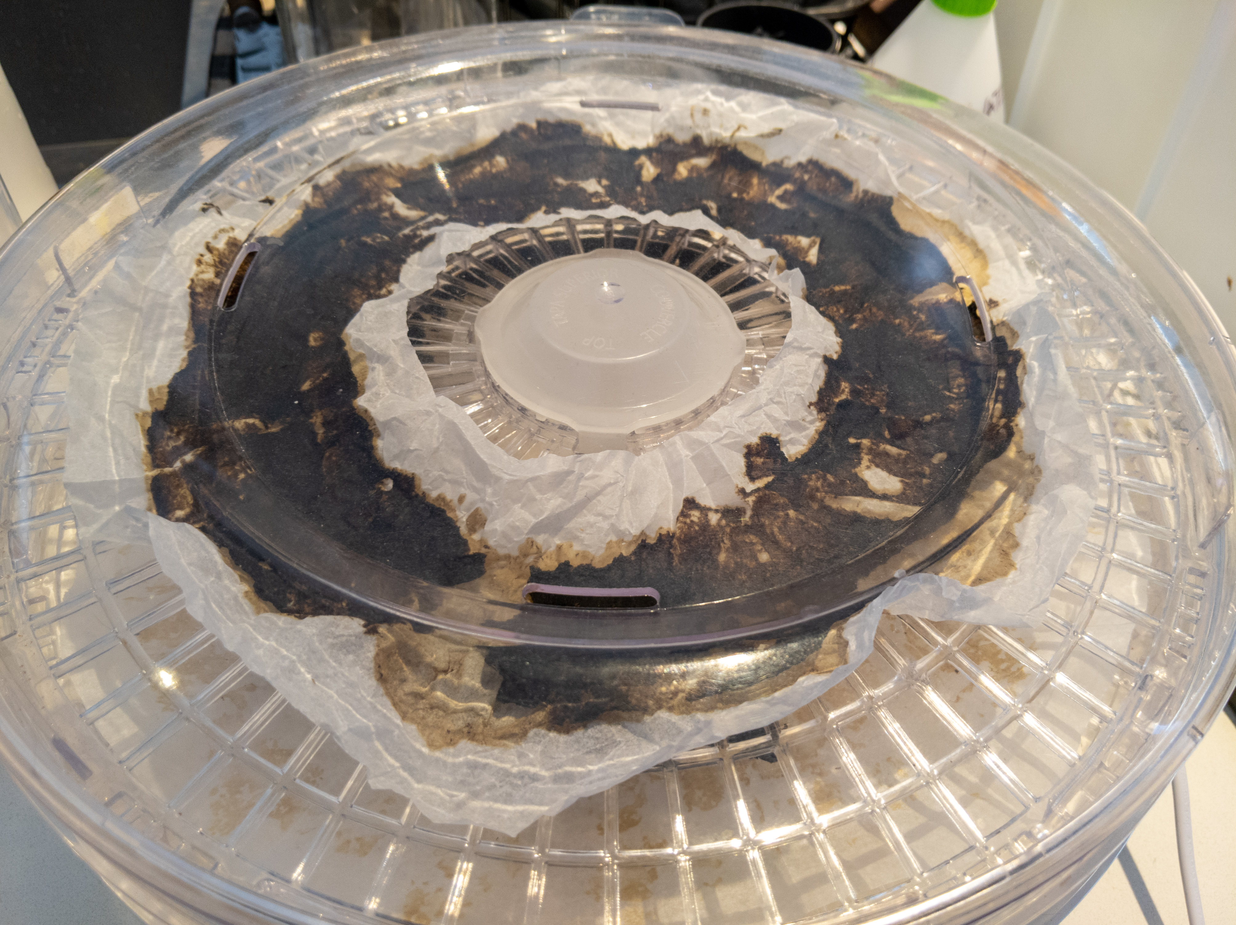 A picture of a circular food dehydrator. Inside the clear lid is a piece of baking paper that has a brown paste smeared on it