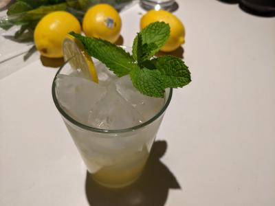 A glass of iced lemonade, garnished with mint and a half-wheel of lemon